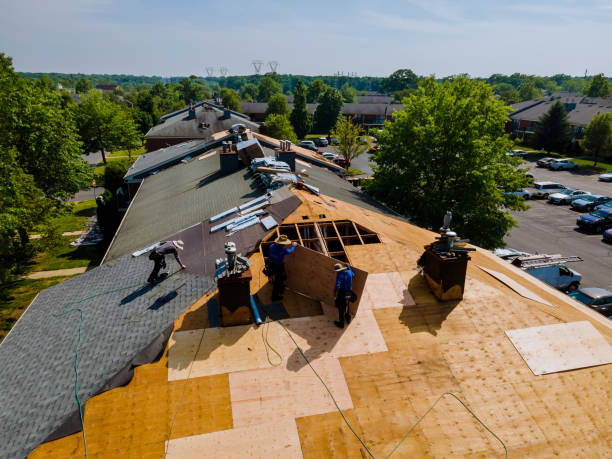 Best Commercial Roofing Services  in Roselawn, IN